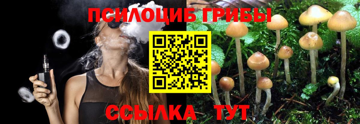Первоуральск  Галлюциногенные грибы Magic Shrooms  Галлюциногенные грибы прущие грибы  Вход с VPN 