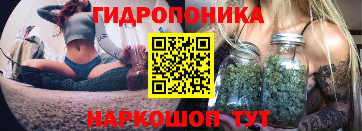 Каннабис OG Kush Первоуральск